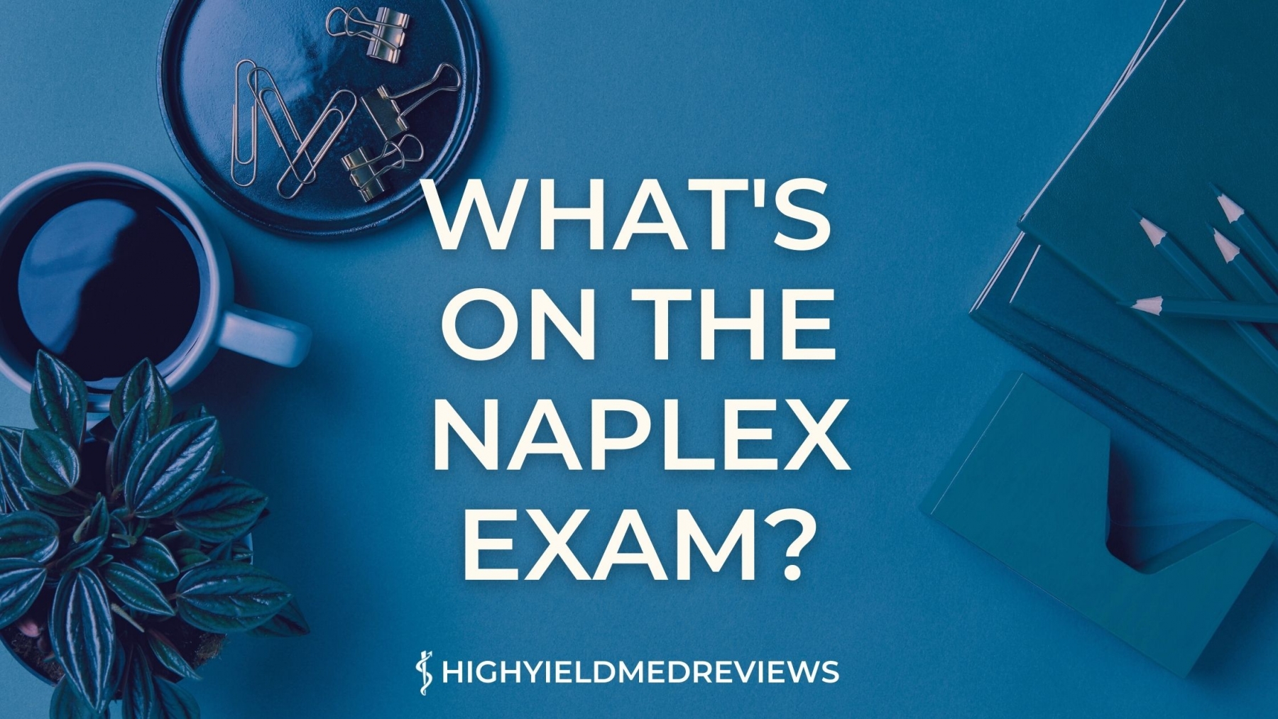 naplex exam